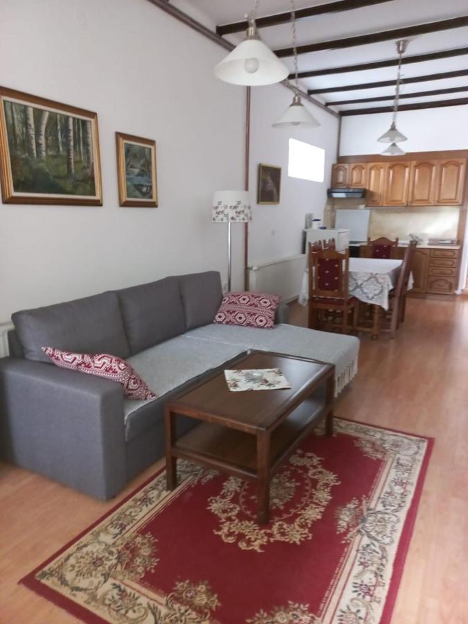 Gala Apartment Soko Banja Bagian luar foto